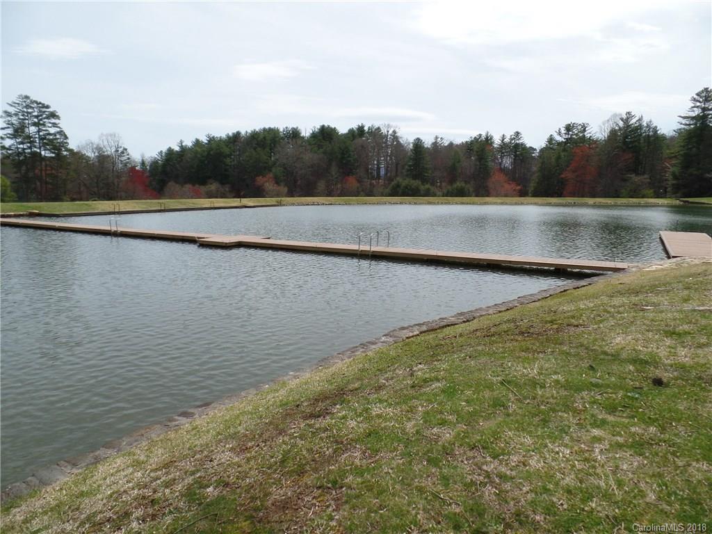 73 Ridgetop Circle, Unit 101 Brevard, NC 28712 - Photo 16 of 21 Gallery Image 16