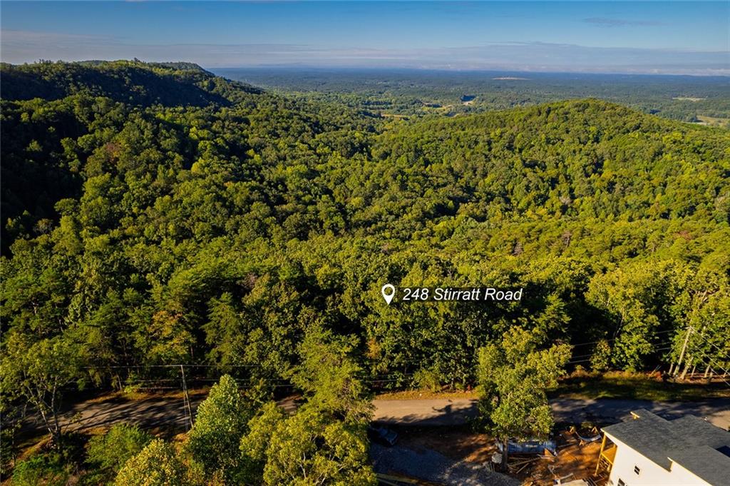 248 Stirratt Road Ranger, GA 30734 - Photo 12 of 24 a view of a yard with an outdoor space