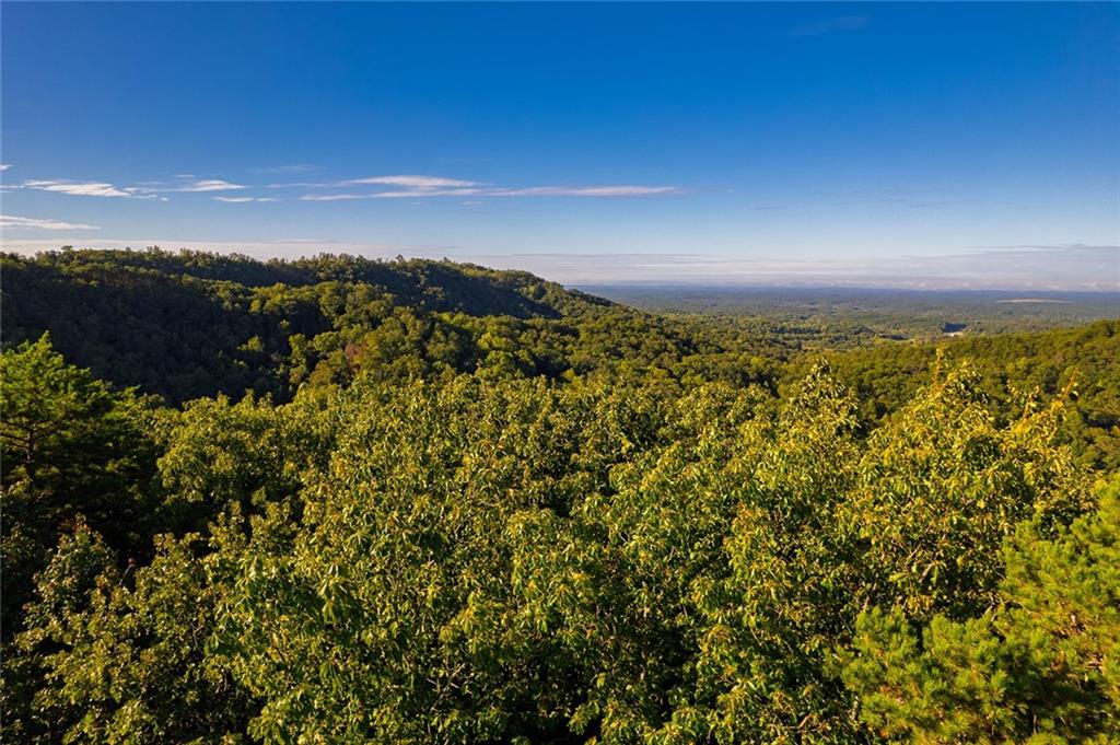 248 Stirratt Road Ranger, GA 30734 - Photo 13 of 24