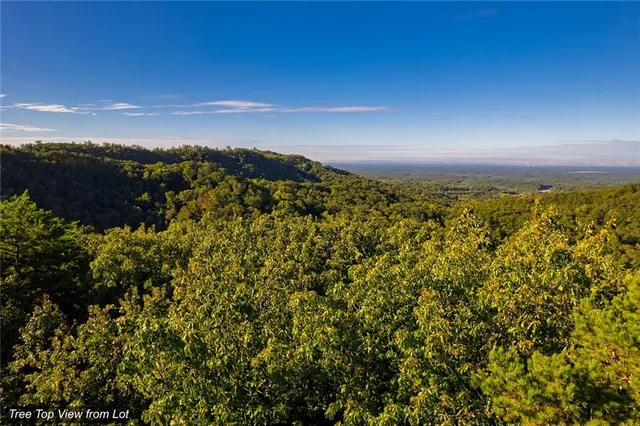 a view of a lake with a mountain in the background