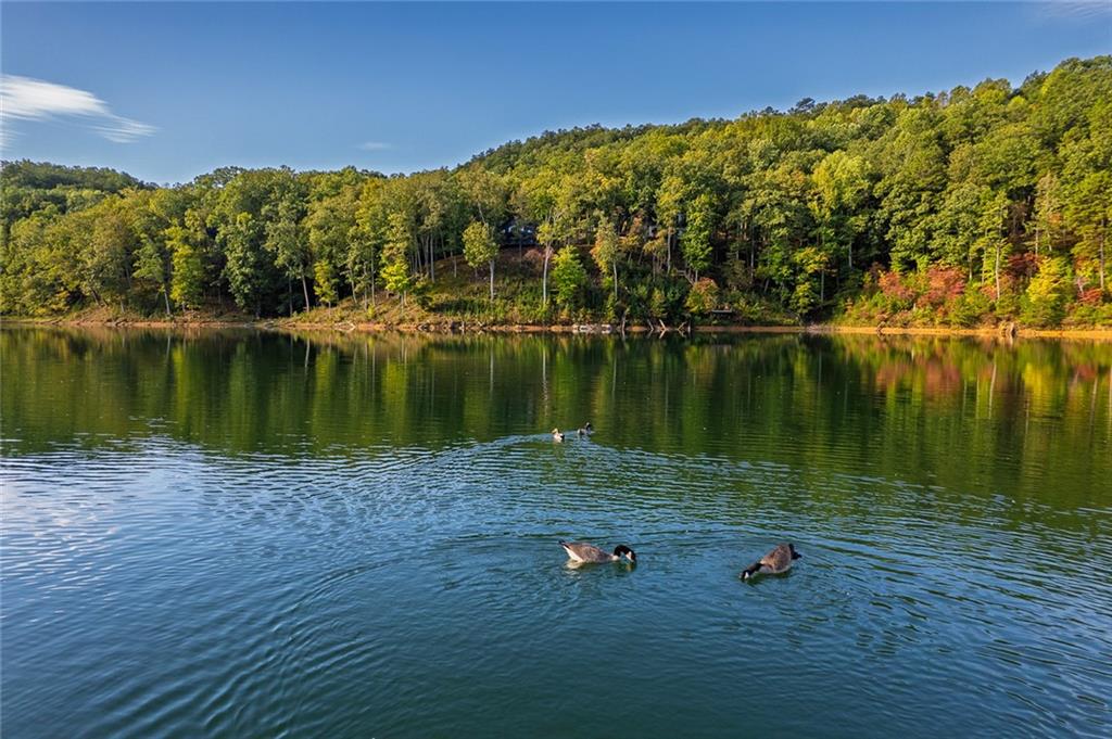 248 Stirratt Road Ranger, GA 30734 - Photo 17 of 24 a view of a lake with a mountain in the background
