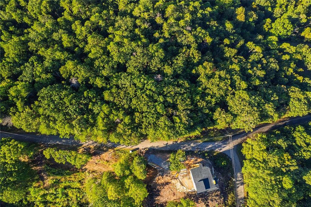 248 Stirratt Road Ranger, GA 30734 - Photo 7 of 24 a view of tree