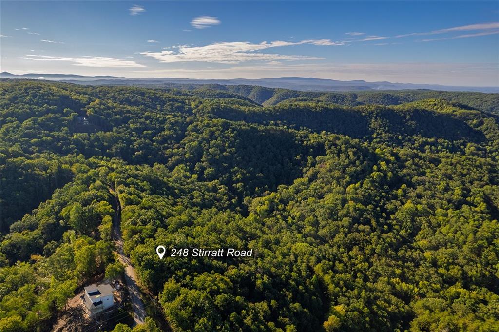 248 Stirratt Road Ranger, GA 30734 - Photo 9 of 24 a view of a city