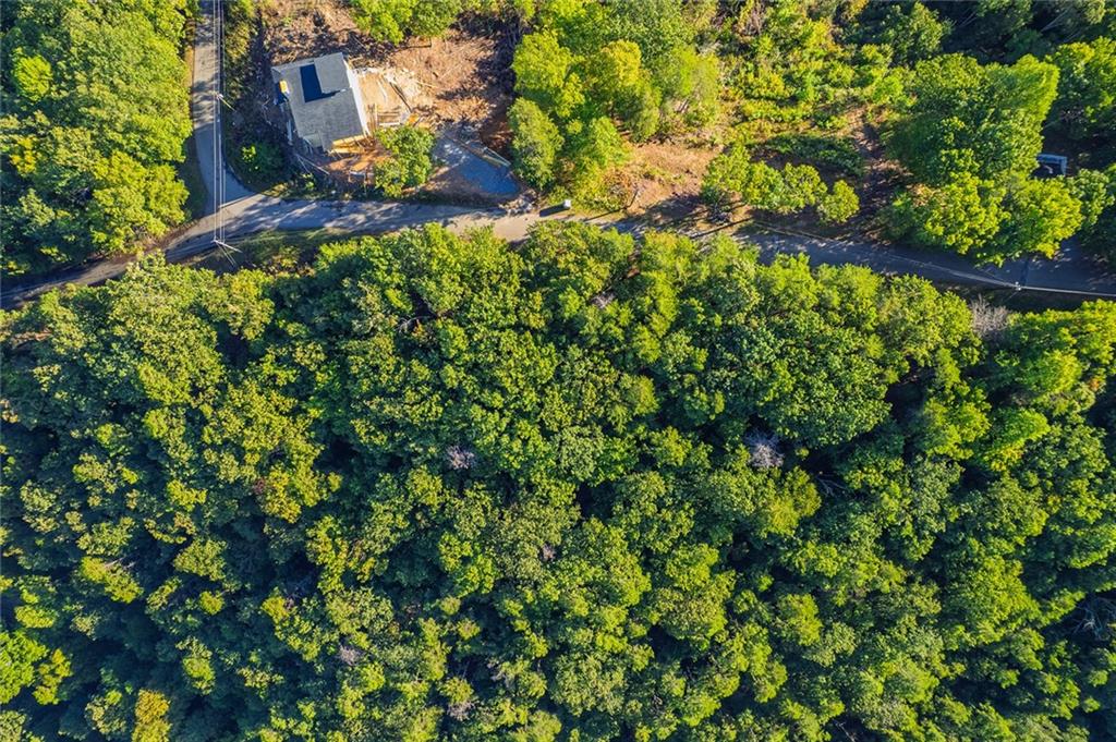 248 Stirratt Road Ranger, GA 30734 - Photo 10 of 24 a view of a tree