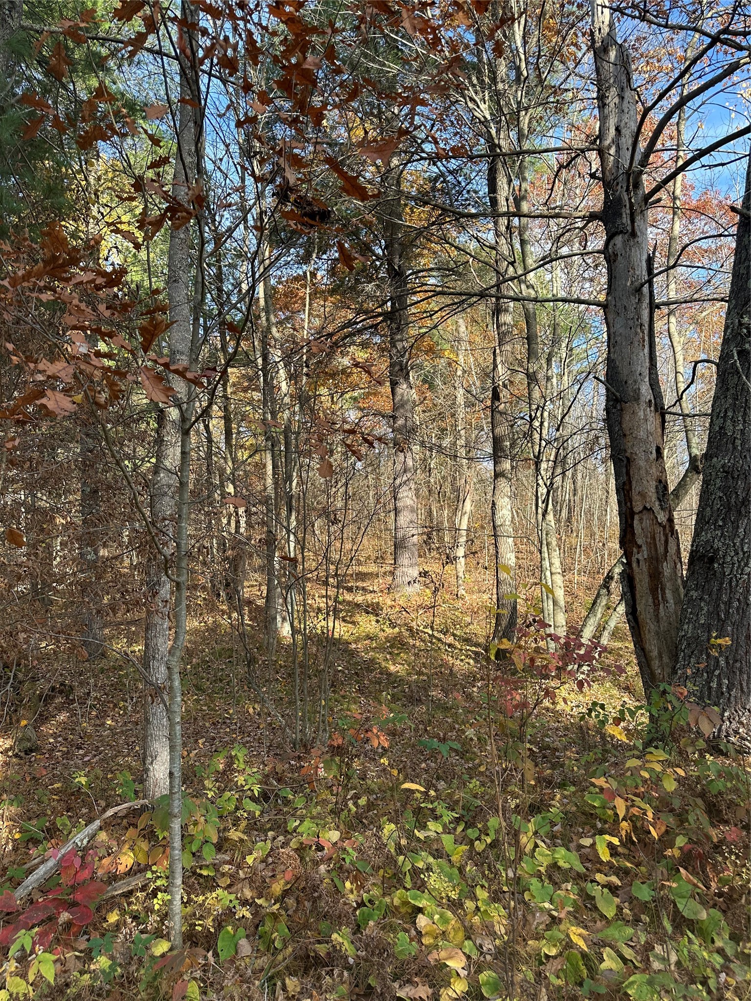Xx Shore Drive Springbrook, WI 54875 - Photo 9 of 12