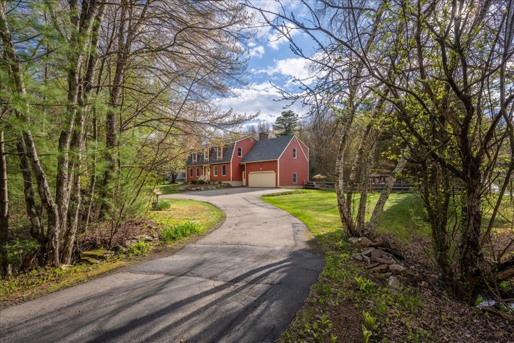 29 Gay Road Brookfield, MA 01506 - Photo 42 of 42 a view of yard with tree s