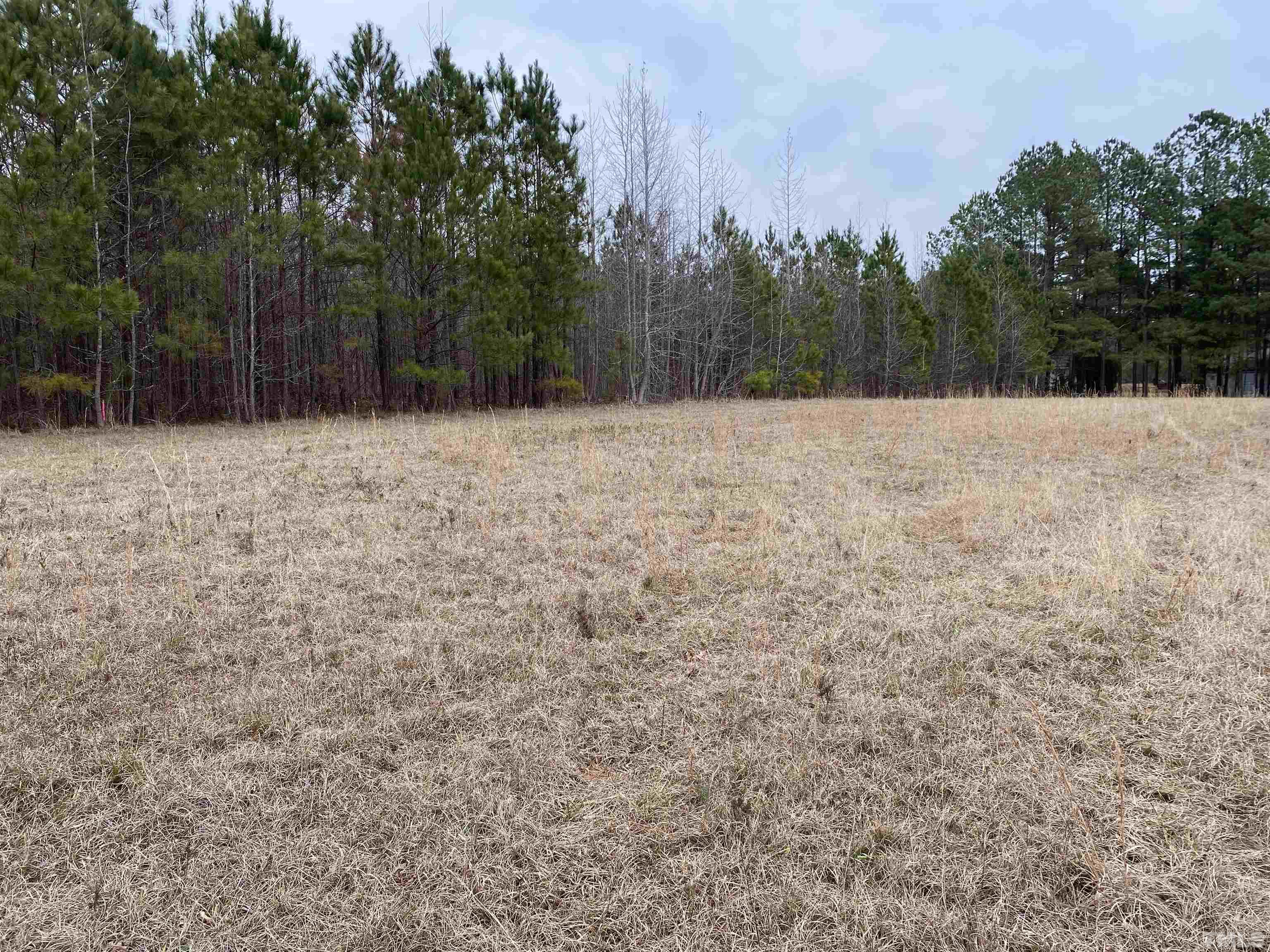 940 Barnes Road Middlesex, NC 27557 - Photo 11 of 11 a view of backyard with green space