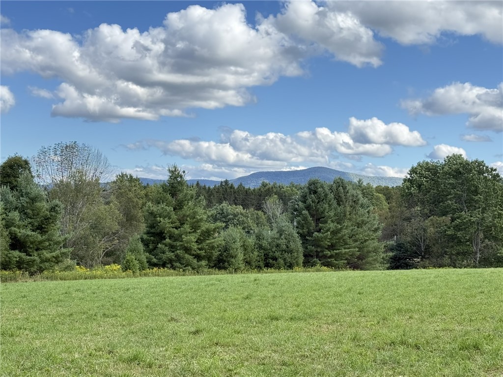 L11 Mountain Pond View Road Gilboa, NY 12076 - Photo 1 of 1