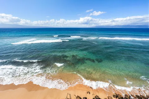 a room with furniture and wooden floor