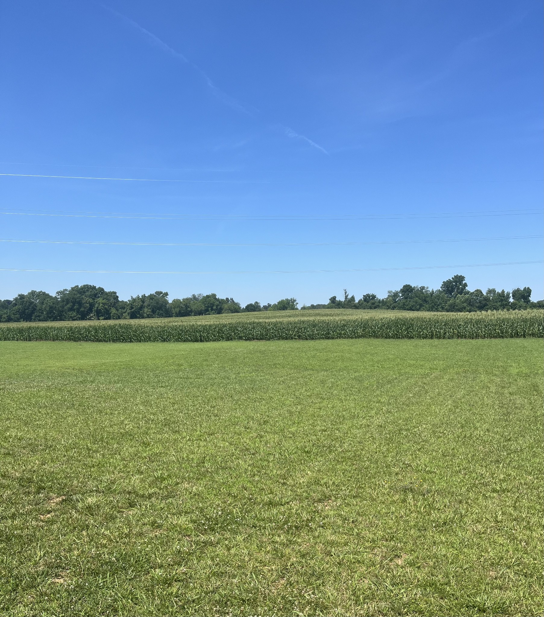 245 Tom Ferrell Road Portland, TN 37148 - Photo 25 of 27 View from Deck