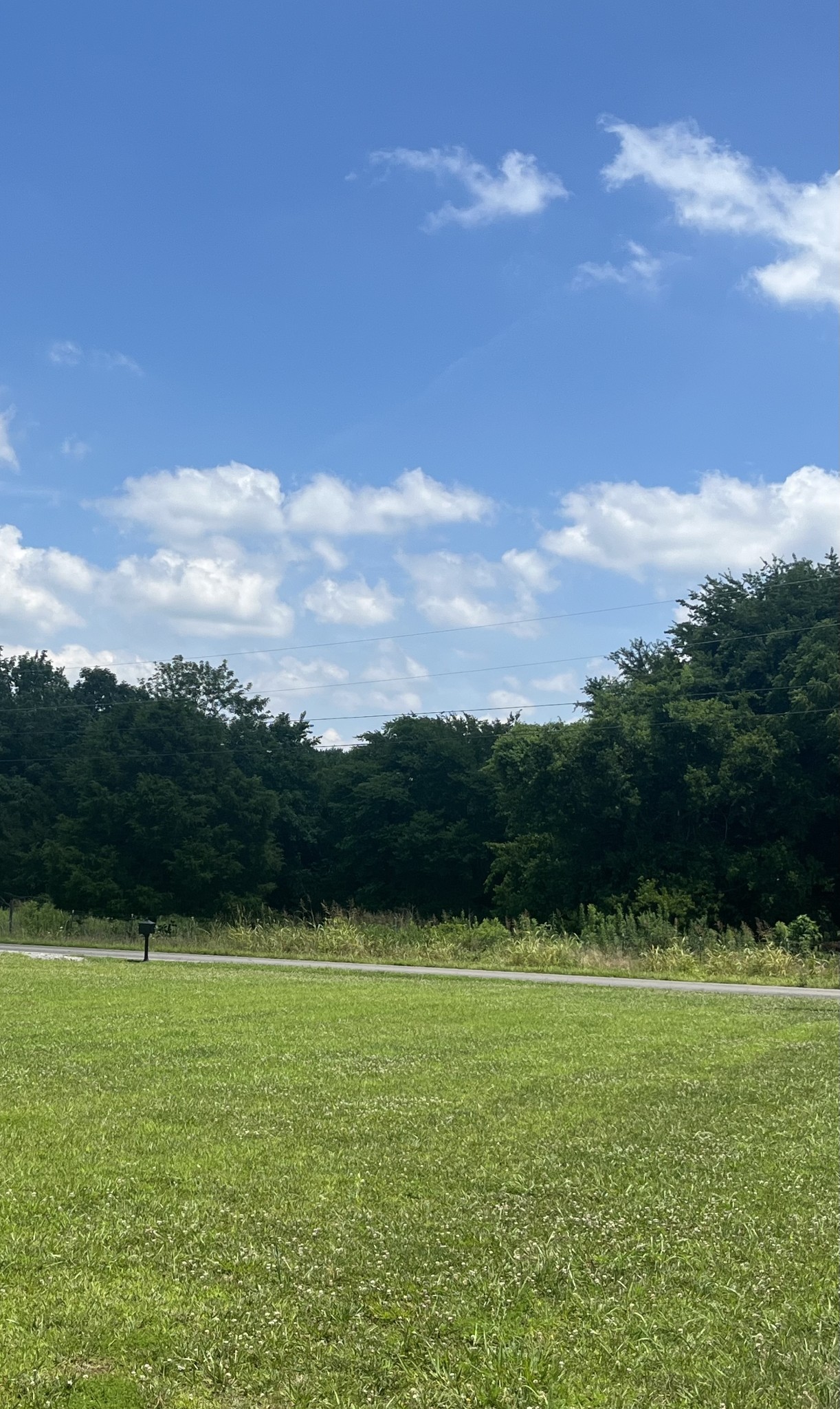 245 Tom Ferrell Road Portland, TN 37148 - Photo 3 of 27 a view of outdoor space and yard