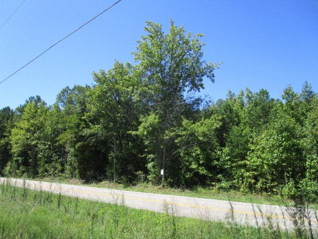 0 Castor Road, Unit NULL Salisbury, NC 28146 - Photo 1 of 17 a view of a yard
