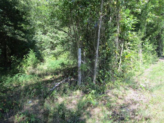 0 Castor Road, Unit NULL Salisbury, NC 28146 - Photo 14 of 17 a view of a forest with a tree