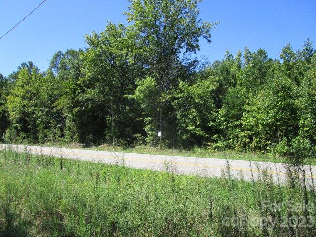 0 Castor Road, Unit NULL Salisbury, NC 28146 - Photo 16 of 17 a view of yard with green space