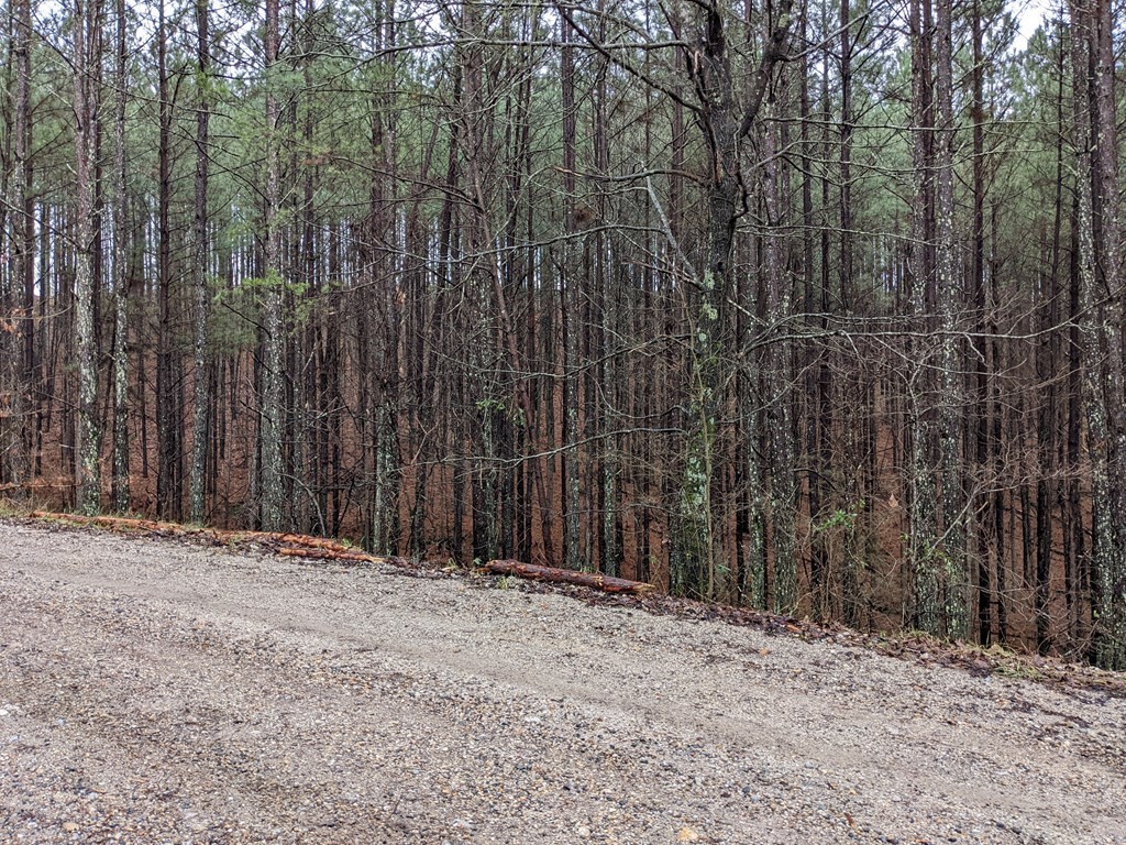 602 Dake Road Decatur, TN 37322 - Photo 5 of 17