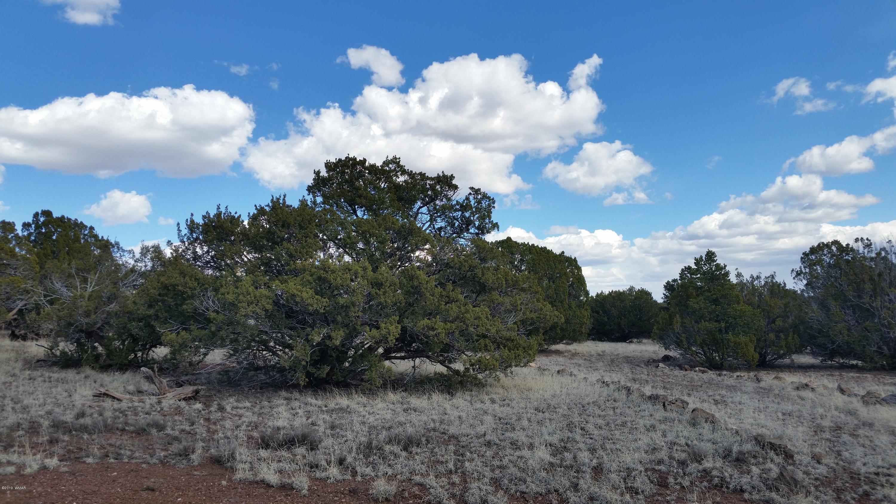 8413 Concho Az 85924 Concho, AZ 85924 - Photo 2 of 7
