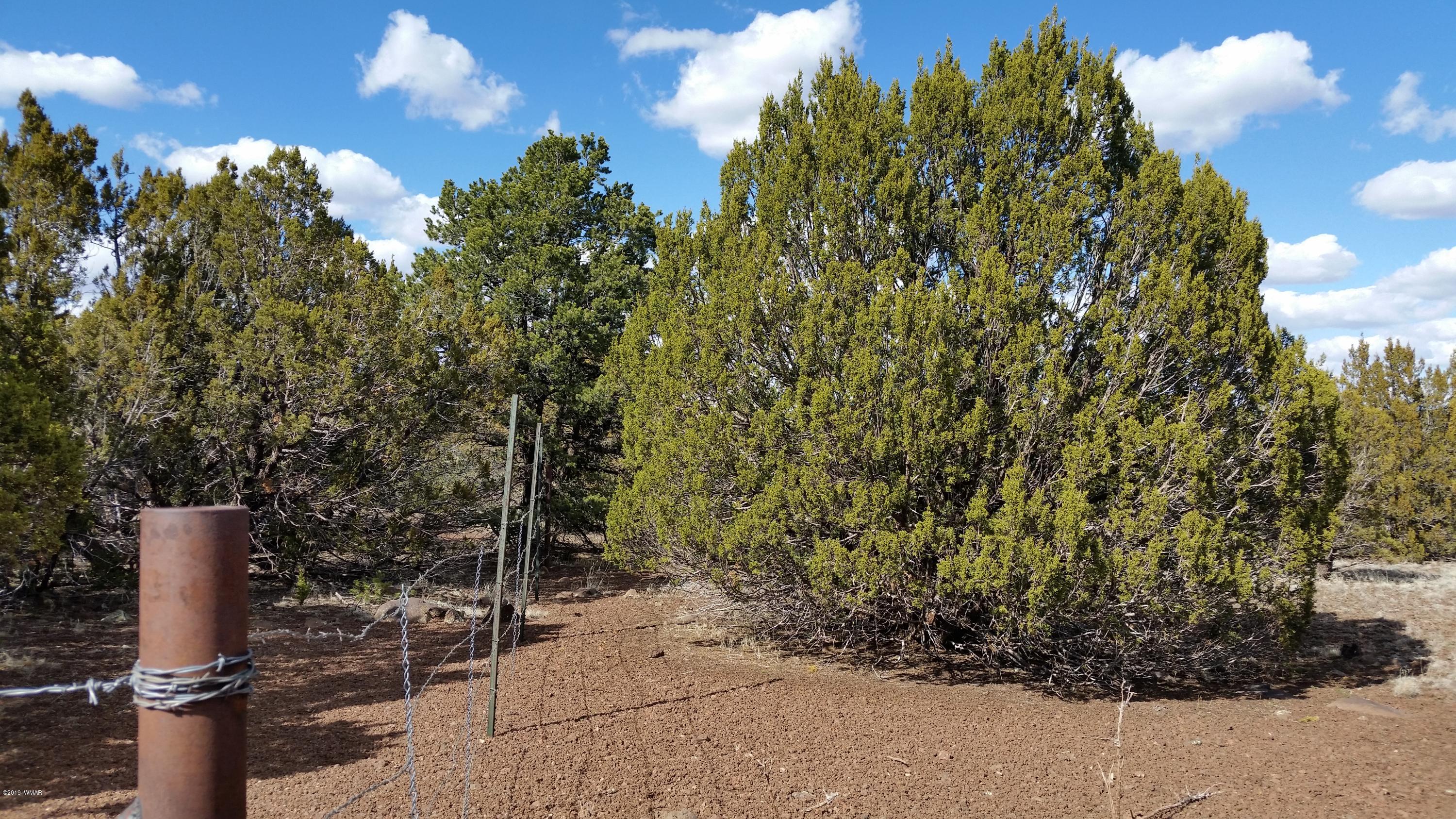8413 Concho Az 85924 Concho, AZ 85924 - Photo 4 of 7 a backyard of a house with lots of green space