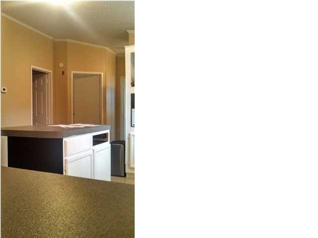 1241 Mail Rte Road Bonneau, SC 29431 - Photo 4 of 20 Additional Photo
