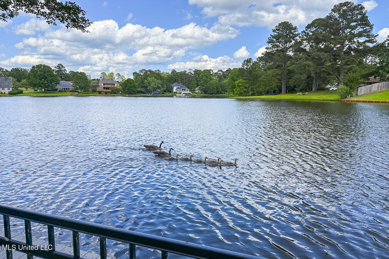 8 Spring Lake Point Pearl, MS 39208 - Photo 2 of 62 50-web-or-mls-8 Spring Lake-54