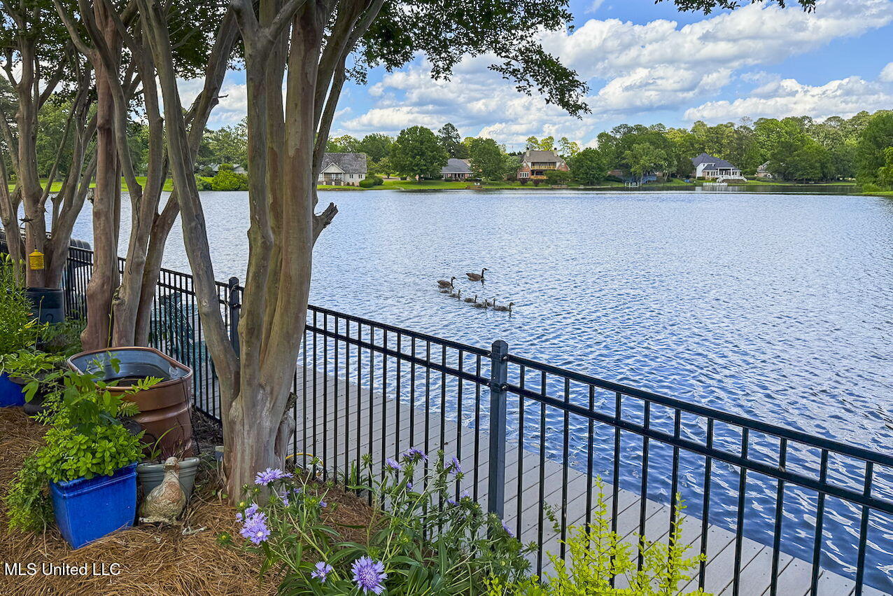 8 Spring Lake Point Pearl, MS 39208 - Photo 55 of 62 51-web-or-mls-8 Spring Lake-53