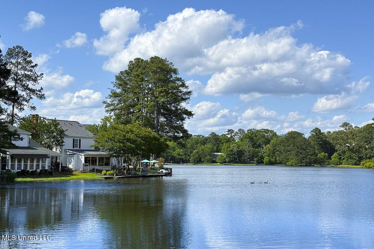 8 Spring Lake Point Pearl, MS 39208 - Photo 58 of 62 47-web-or-mls-8 Spring Lake-58