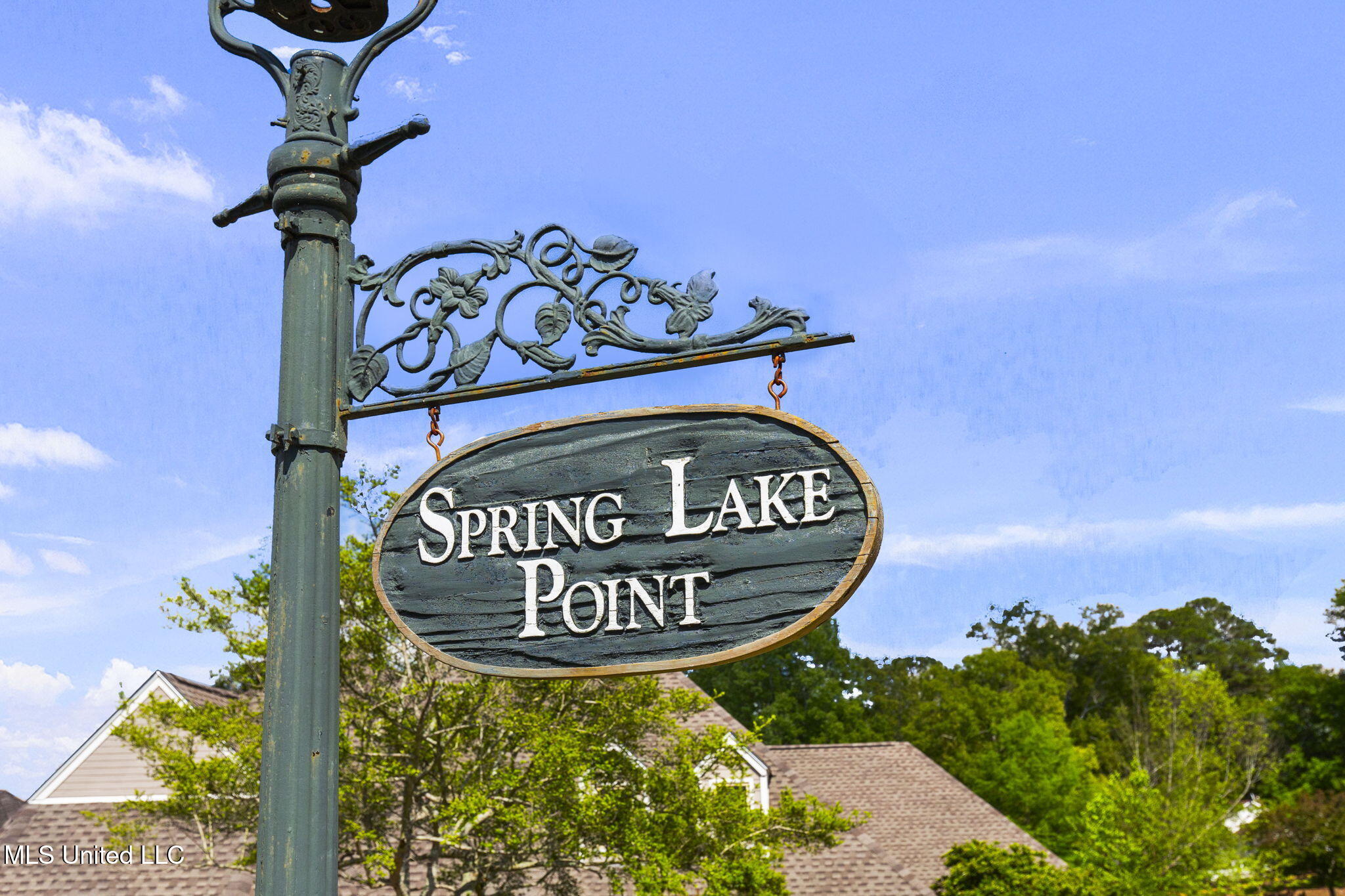 8 Spring Lake Point Pearl, MS 39208 - Photo 62 of 62 45-web-or-mls-8 Spring Lake-62