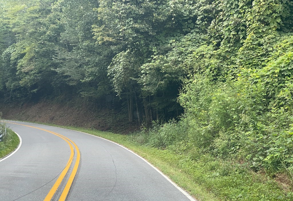 0 Cold Branch Road Hayesville, NC 28904 - Photo 3 of 3 a view of a forest from a balcony