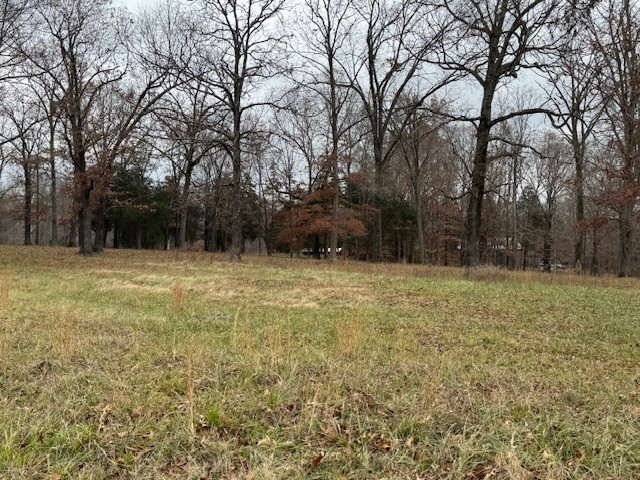 0 Old County House Road Charlotte, TN 37036 - Photo 1 of 12 Gallery Image 1
