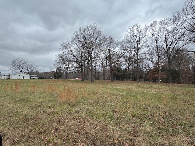 0 Old County House Road Charlotte, TN 37036 - Photo 11 of 12 Gallery Image 11