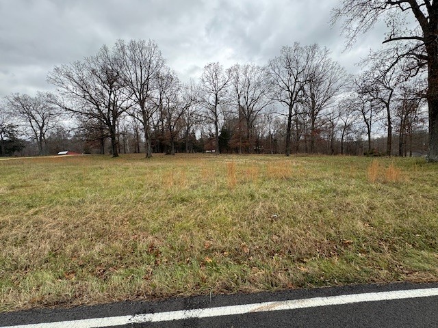 0 Old County House Road Charlotte, TN 37036 - Photo 12 of 12 Gallery Image 12
