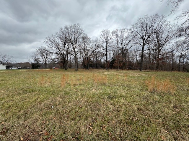 0 Old County House Road Charlotte, TN 37036 - Photo 2 of 12 Gallery Image 2