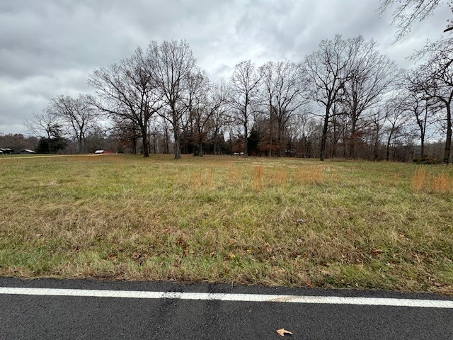 0 Old County House Road Charlotte, TN 37036 - Photo 3 of 12 Gallery Image 3