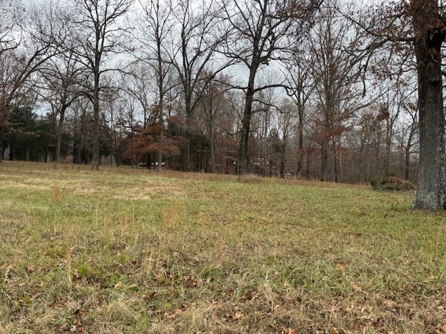 0 Old County House Road Charlotte, TN 37036 - Photo 4 of 12 Gallery Image 4