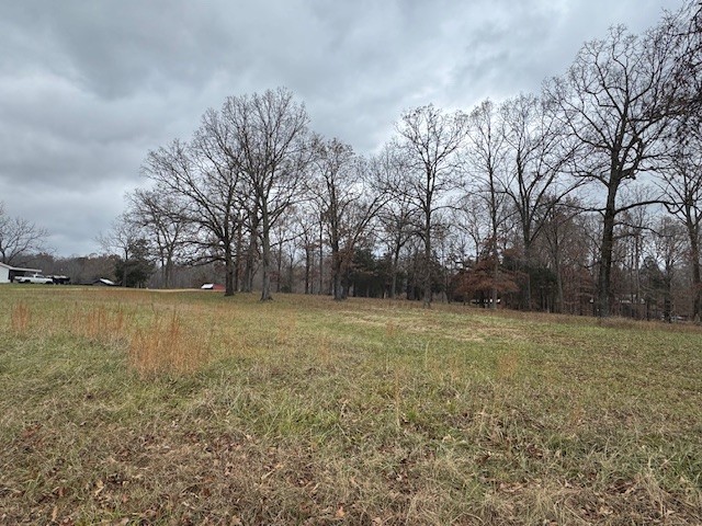 0 Old County House Road Charlotte, TN 37036 - Photo 5 of 12 Gallery Image 5