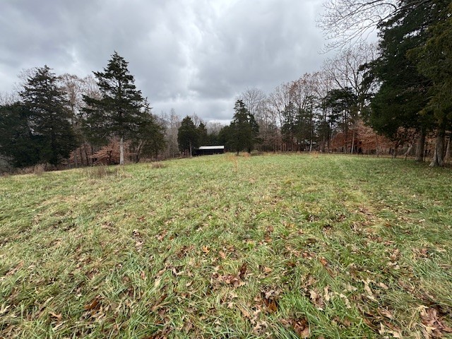 0 Old County House Road Charlotte, TN 37036 - Photo 6 of 12 Gallery Image 6