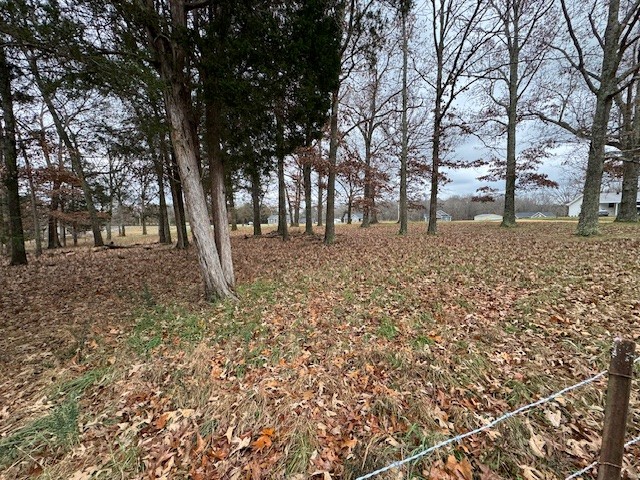 0 Old County House Road Charlotte, TN 37036 - Photo 7 of 12 Gallery Image 7