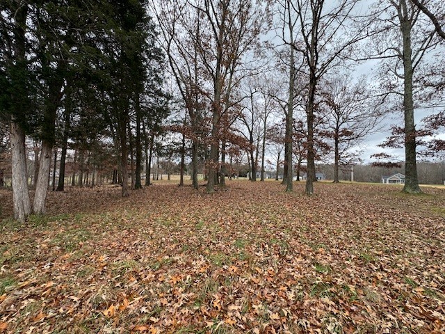 0 Old County House Road Charlotte, TN 37036 - Photo 8 of 12 Gallery Image 8