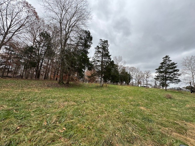 0 Old County House Road Charlotte, TN 37036 - Photo 10 of 12 Gallery Image 10