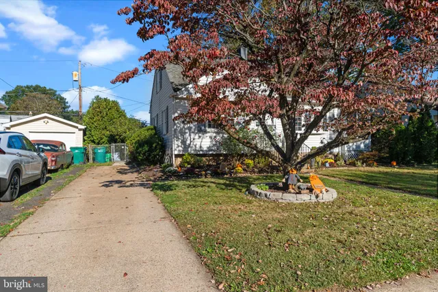 a view of a park with large trees