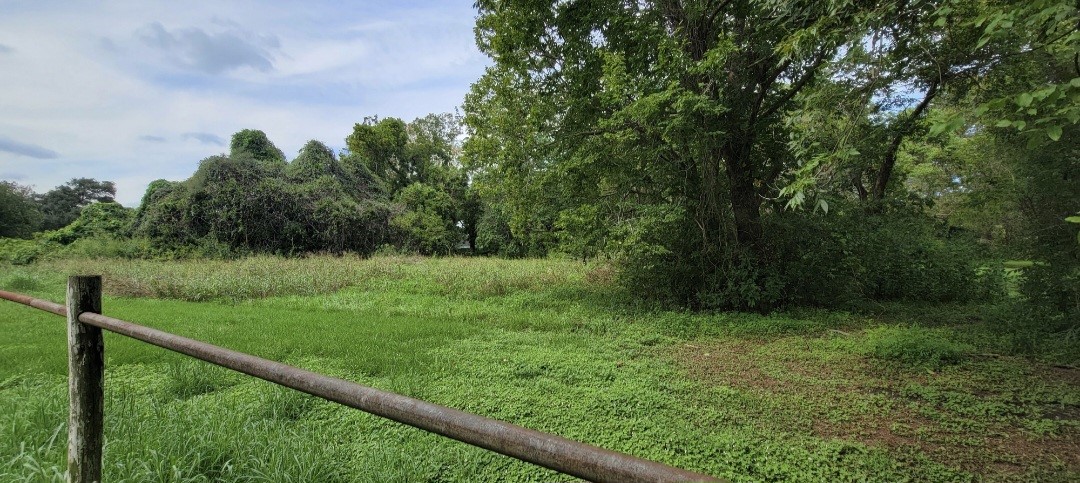 6415 S. F. Austin Road Jones Creek, TX 77541 - Photo 2 of 11 a view of a garden from a balcony