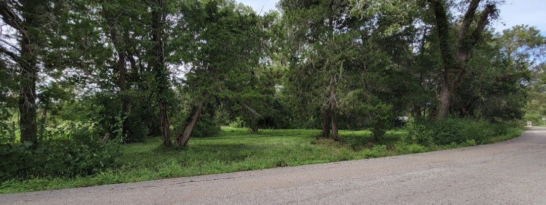 6415 S. F. Austin Road Jones Creek, TX 77541 - Photo 3 of 11 a view of a grassy field with trees