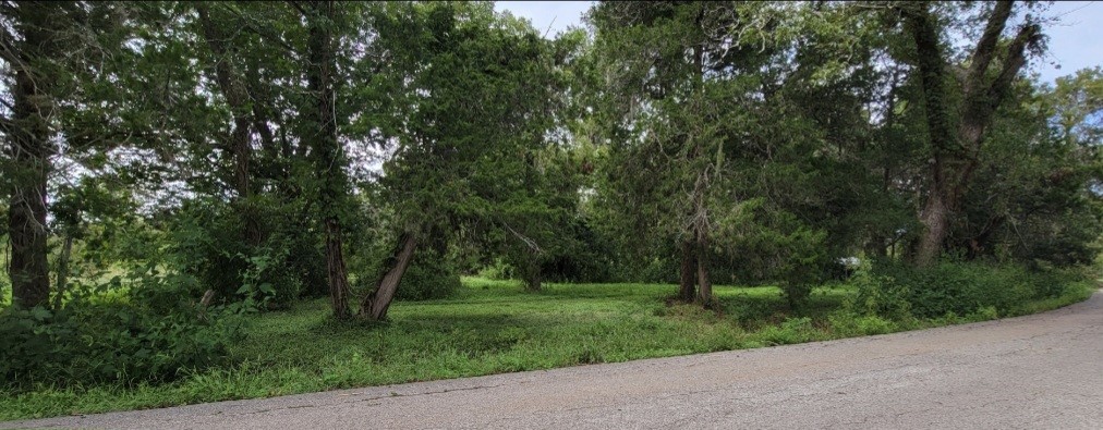6415 S. F. Austin Road Jones Creek, TX 77541 - Photo 4 of 11 a view of a park with large trees