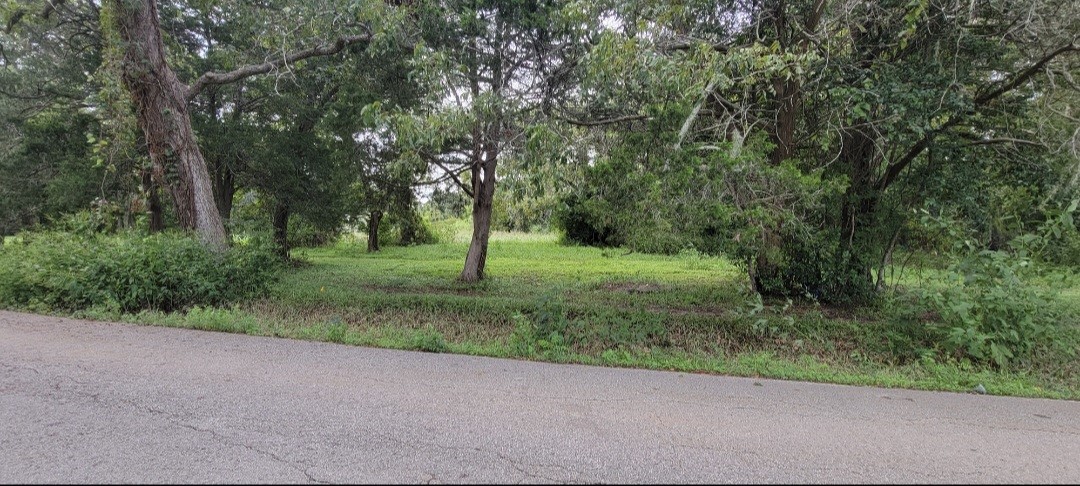 6415 S. F. Austin Road Jones Creek, TX 77541 - Photo 5 of 11 a view of a backyard with green space