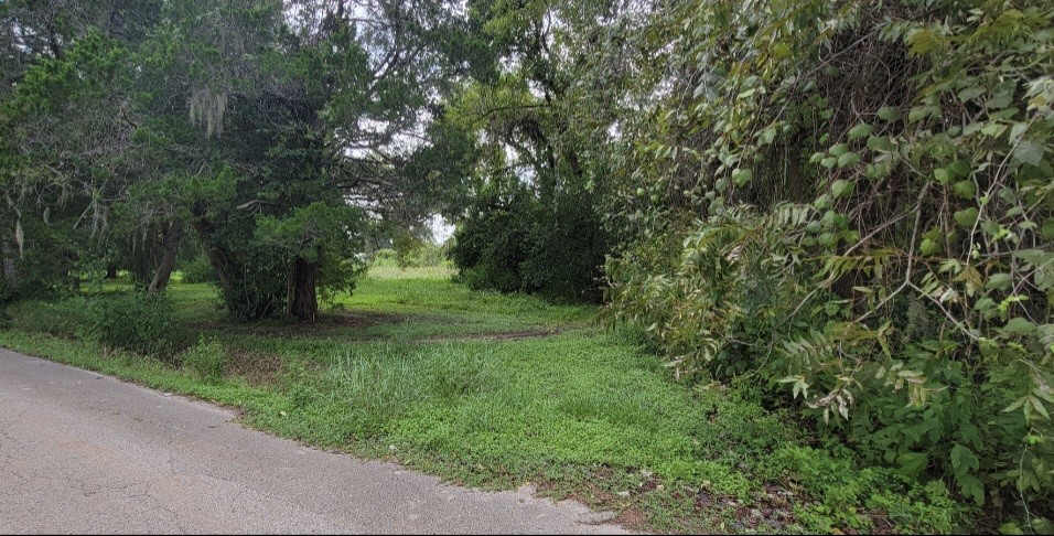 6415 S. F. Austin Road Jones Creek, TX 77541 - Photo 6 of 11 a view of outdoor space and yard