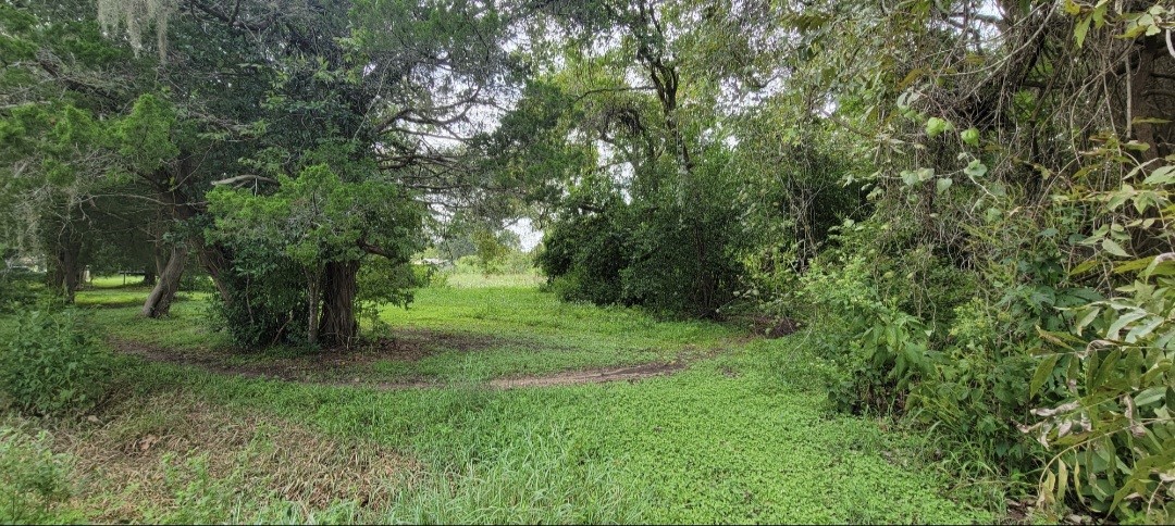 6415 S. F. Austin Road Jones Creek, TX 77541 - Photo 7 of 11 a view of an outdoor space with a lake view