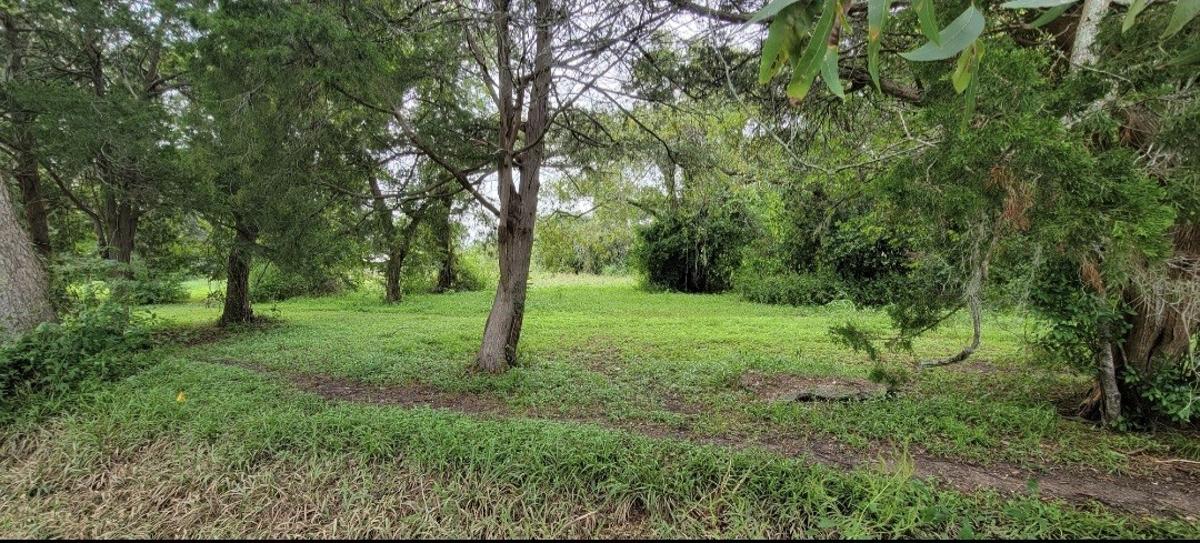 6415 S. F. Austin Road Jones Creek, TX 77541 - Photo 8 of 11 a view of a yard with a tree