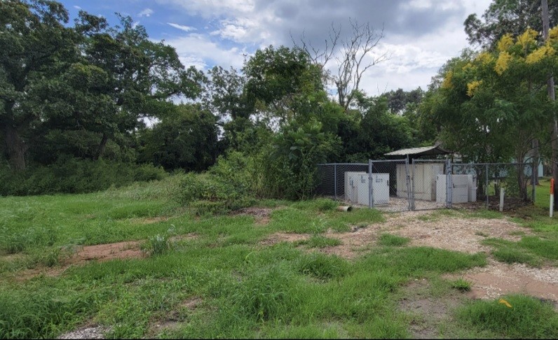 6415 S. F. Austin Road Jones Creek, TX 77541 - Photo 10 of 11 a backyard of a house with plants and large trees