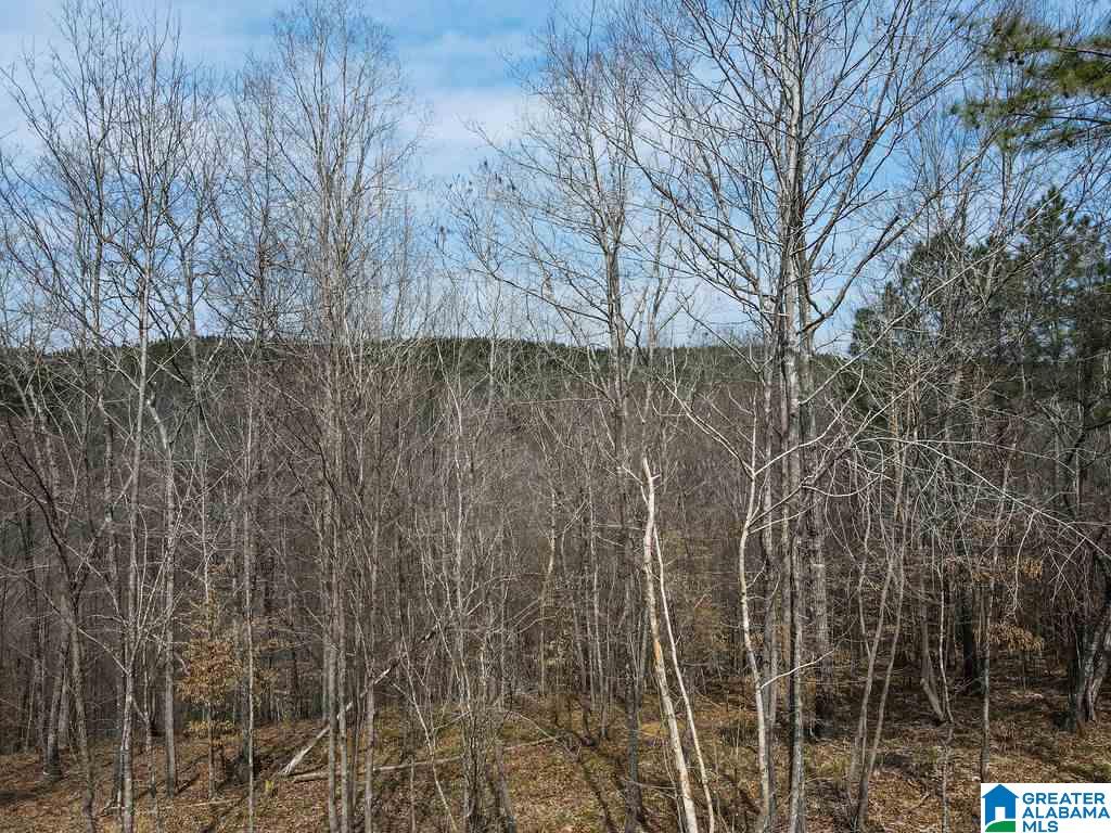 Lot #8 Turkey Bend Drive, Unit 8 Addison, AL 35540 - Photo 3 of 13