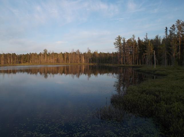 45 Old 45 Road Conover, WI 54519 - Photo 1 of 6 Gallery Image 1