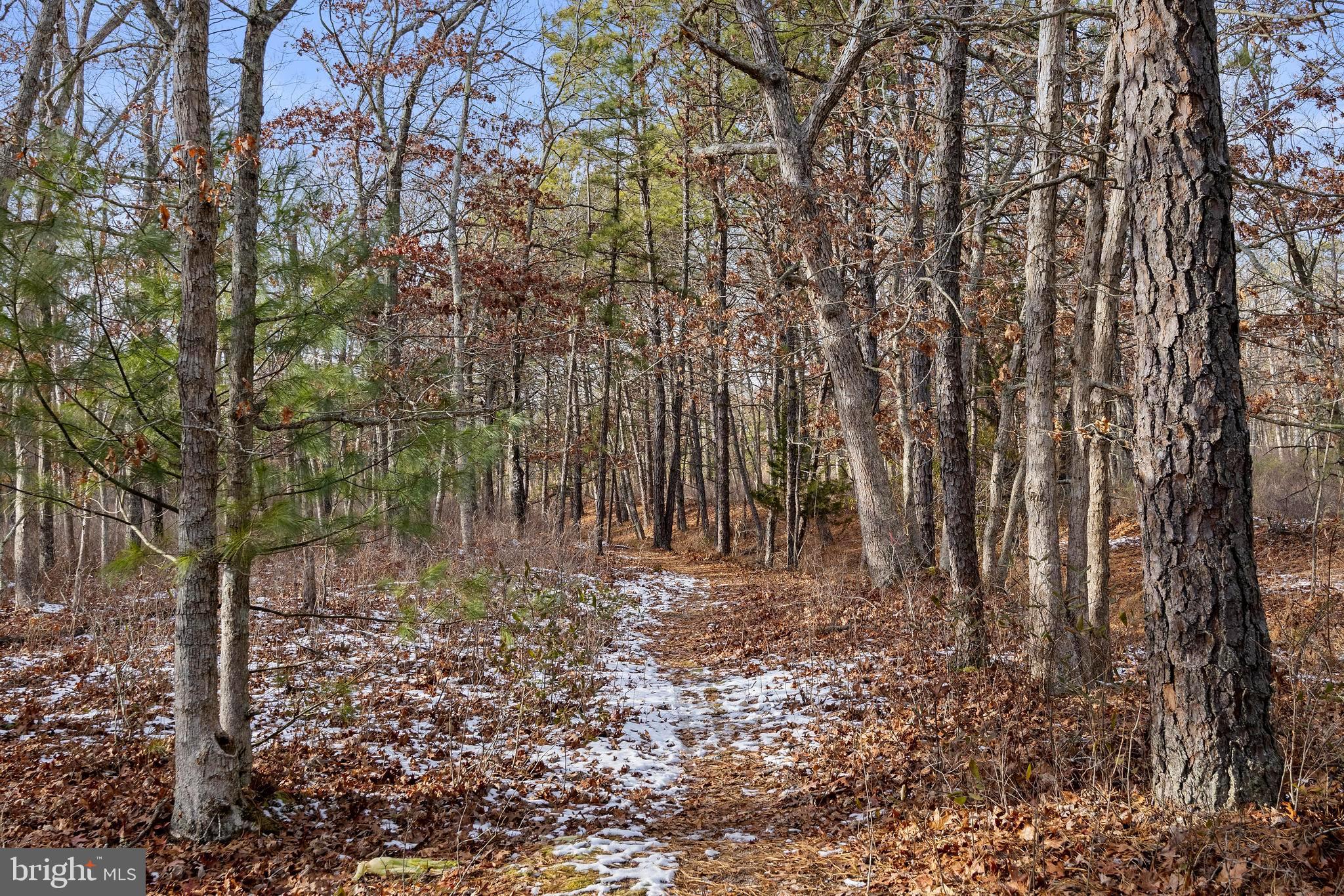 11 Elm Road Manahawkin, NJ 08050 - Photo 42 of 44